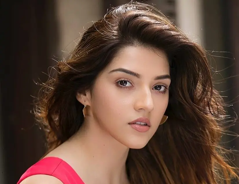 Biodata dan Profil Mehreen Pirzada Lengkap Wikipedia Umur, Agama, Instagram, Tiktok, Pacar