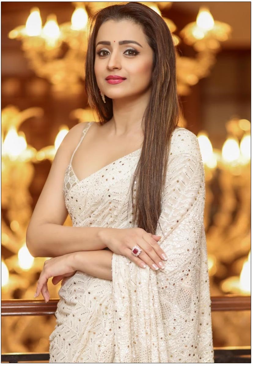 Biodata, Profil dan Fakta Trisha Krishnan